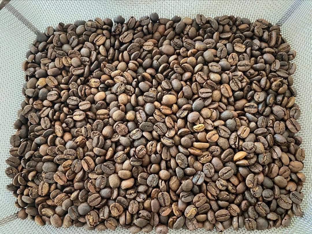 焙煎を終えたコーヒー豆